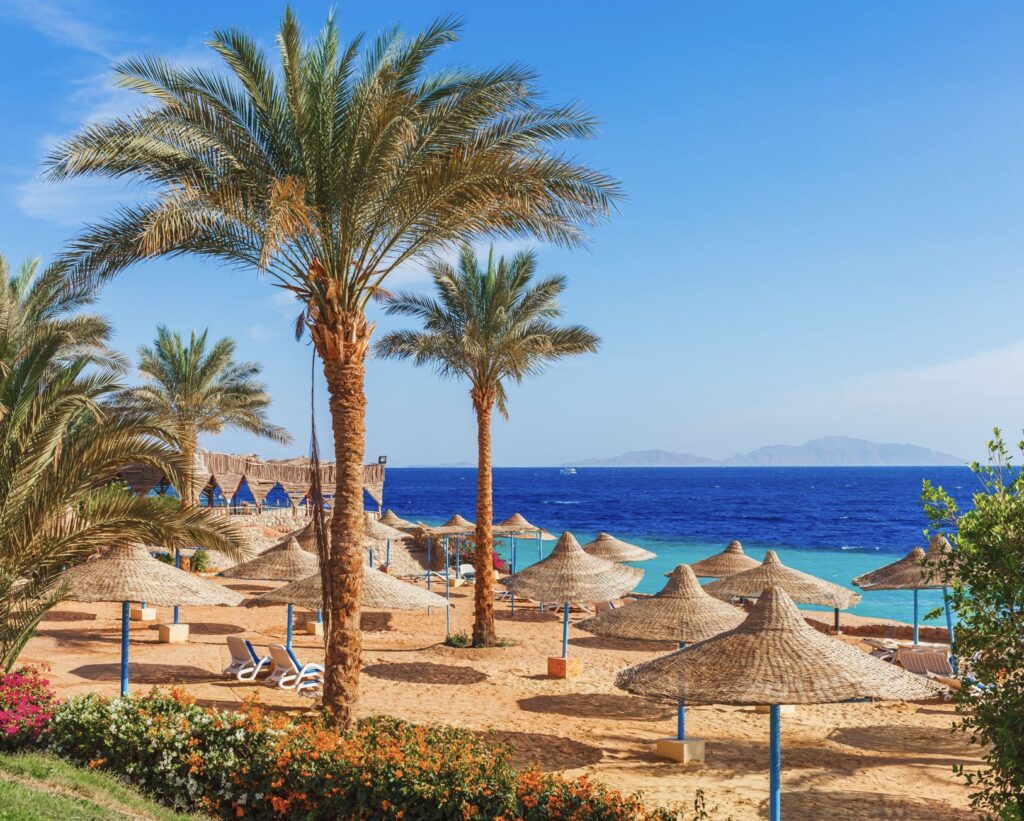All inclusve resort beach in Sharm El Sheik
