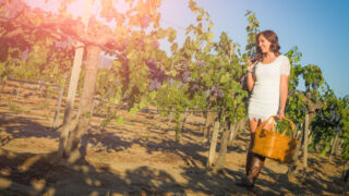 Woman walking through vineyard in Temecula, California
