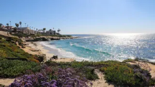 Beautiful day at Windansea Beach in San Diego