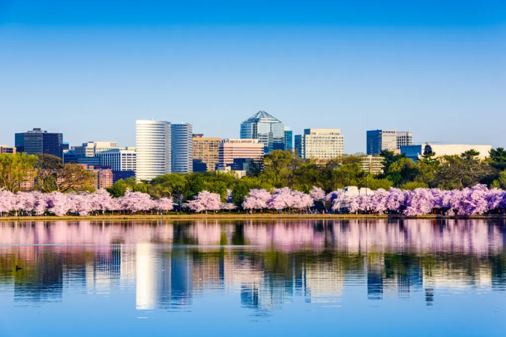 7 Reasons Why This Iconic American City Is Breaking All-Time Tourism Records