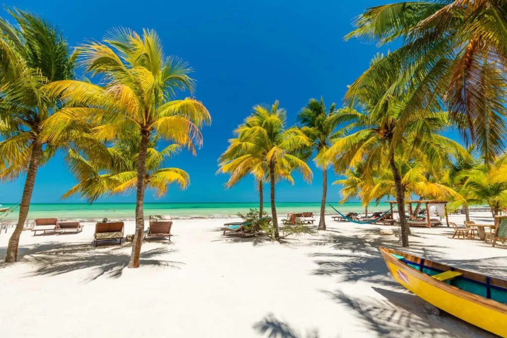 Cancun Prepares For Heavy Sargassum Season Here Are 3 Mexican Caribbean Alternatives