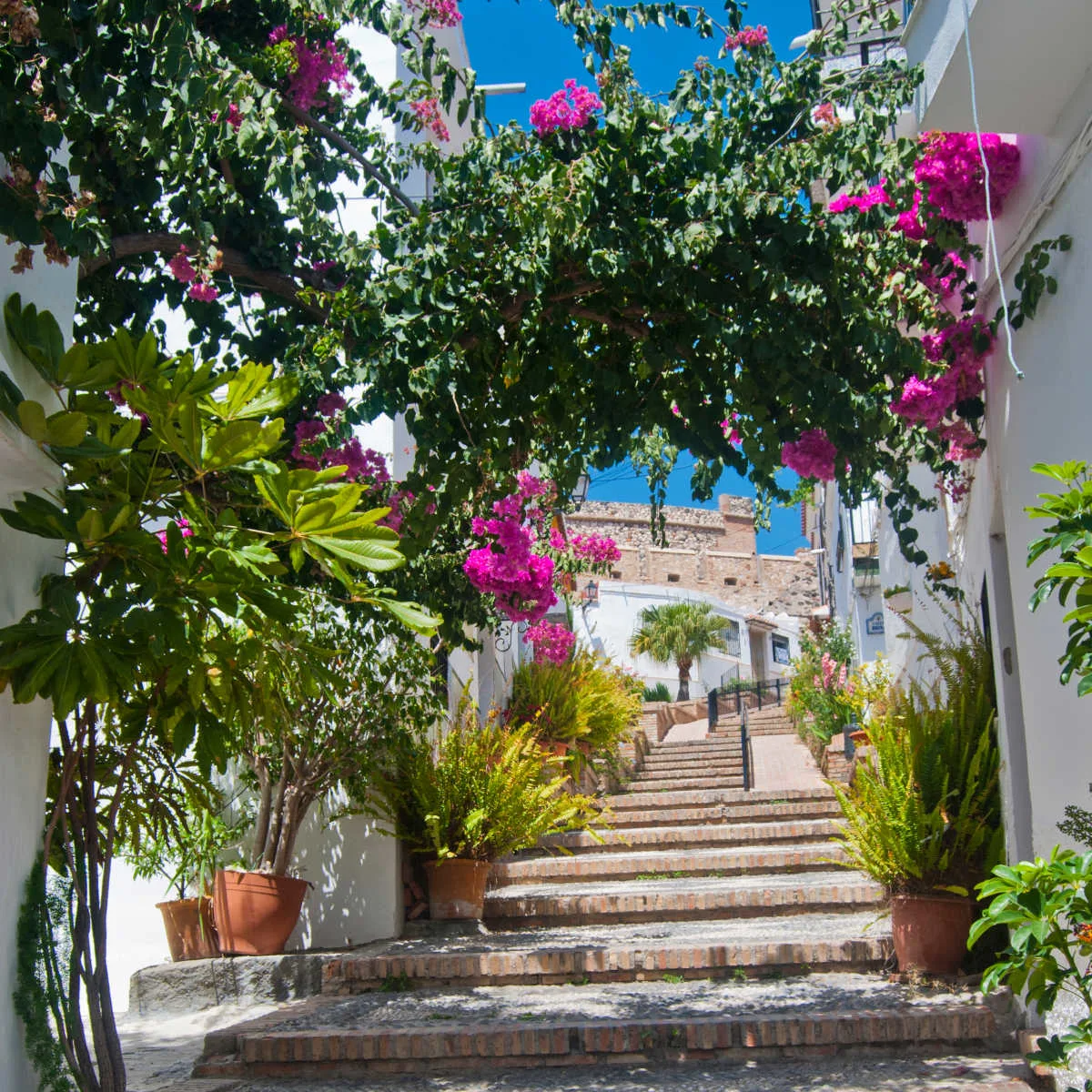 Flower-adorned street in Salobreña