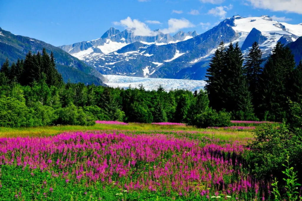 These Are The Top 10 States Americans Want To Visit Most In 2024